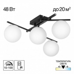 Потолочная люстра Citilux Dorsy CL223142 в Можге - mozhga.ok-mebel.com | фото 9