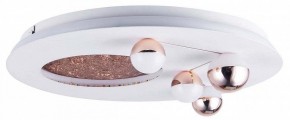 Потолочная люстра Favourite Plaides 4630-4C в Можге - mozhga.ok-mebel.com | фото 3