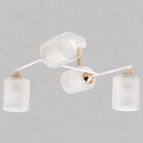 Потолочная люстра Imex MD.2188 MD.2188-4-S-WH+FGD в Можге - mozhga.ok-mebel.com | фото