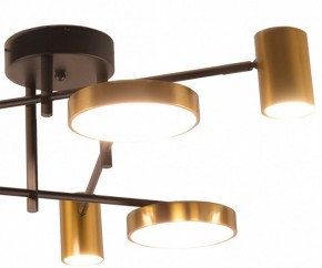 Потолочная люстра Kink Light Рапис 07645-6D,19(20) в Можге - mozhga.ok-mebel.com | фото 2