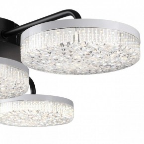 Потолочная люстра Lumion Didana 8236/4CL в Можге - mozhga.ok-mebel.com | фото 7