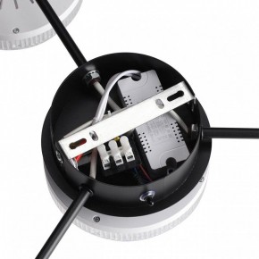 Потолочная люстра Lumion Didana 8236/4CL в Можге - mozhga.ok-mebel.com | фото 9
