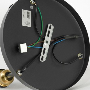 Потолочная люстра Lussole Mitchel LSP-8996 в Можге - mozhga.ok-mebel.com | фото 5