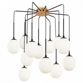 Потолочная люстра Maytoni Branch MOD176PL-12G в Можге - mozhga.ok-mebel.com | фото 3