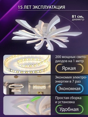 Потолочная люстра Natali Kovaltseva VIO LED LAMPS 81454 в Можге - mozhga.ok-mebel.com | фото 5