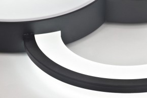 Потолочная люстра Rivoli Aliona Б0066452 в Можге - mozhga.ok-mebel.com | фото 10