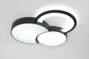 Потолочная люстра Rivoli Aliona Б0066452 в Можге - mozhga.ok-mebel.com | фото 8