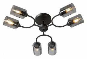 Потолочная люстра Vitaluce V2823 V2823-1/6PL в Можге - mozhga.ok-mebel.com | фото 2