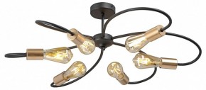 Потолочная люстра Vitaluce V3076 V3076-1/6PL в Можге - mozhga.ok-mebel.com | фото 3