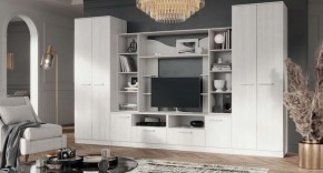 ПРЕМЬЕР Гостиная (Анкор светлый) в Можге - mozhga.ok-mebel.com | фото