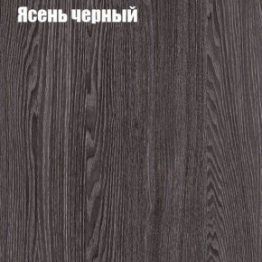 Прихожая ДИАНА-4 сек №10 (Ясень анкор/Дуб эльза) в Можге - mozhga.ok-mebel.com | фото 3