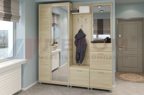 Прихожая Мелисса композиция 1 (Ясень Асахи) в Можге - mozhga.ok-mebel.com | фото