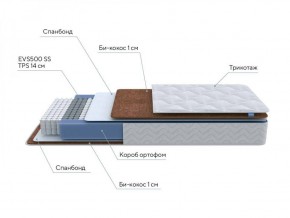 PROxSON Матрас Active F Roll (Ткань Трикотаж Эко) 120x190 в Можге - mozhga.ok-mebel.com | фото 7