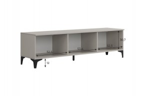 РИЧ Тумба 2 в Можге - mozhga.ok-mebel.com | фото 3