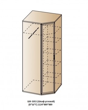 ШК-1011 (Шкаф угловой) в Можге - mozhga.ok-mebel.com | фото