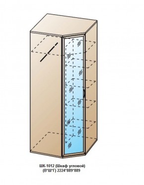 ШК-1012 (Шкаф угловой) в Можге - mozhga.ok-mebel.com | фото