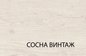 Шкаф 2DG2S, MAGELLAN, цвет Сосна винтаж в Можге - mozhga.ok-mebel.com | фото 5