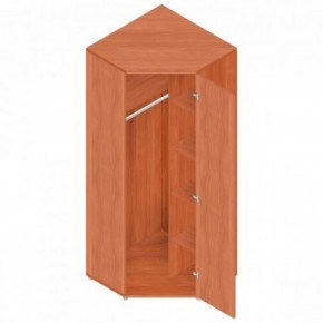 Шкаф для одежды "Референт" Р.Ш-10 в Можге - mozhga.ok-mebel.com | фото