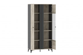 Шкаф комбинированный НМ 040.10 "Отис" в Можге - mozhga.ok-mebel.com | фото 2
