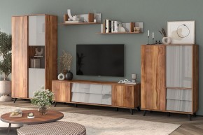 Шкаф комбинированный Онтарио 474.06 в Можге - mozhga.ok-mebel.com | фото 5