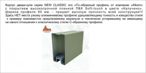 Шкаф-купе 1500 серии NEW CLASSIC K2+K2+B2+PL2(2 ящика+1 штанга+1 полка) профиль «Капучино» в Можге - mozhga.ok-mebel.com | фото 17