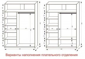 Шкаф-купе 1600 серии SOFT D1+D3+B2+PL1 (2 ящика+1штанга) профиль «Графит» в Можге - mozhga.ok-mebel.com | фото 6