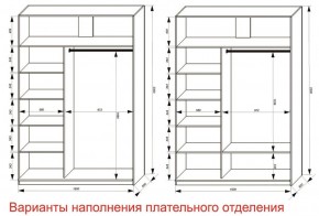 Шкаф-купе 1600 серии SOFT D6+D4+B2+PL2 (2 ящика+1штанга+1 полка) профиль «Капучино» в Можге - mozhga.ok-mebel.com | фото 8