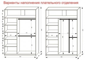 Шкаф-купе 1600 серии SOFT D6+D4+B2+PL2 (2 ящика+1штанга+1 полка) профиль «Капучино» в Можге - mozhga.ok-mebel.com | фото 9