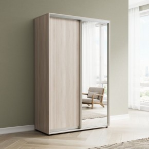 Шкаф-купе Акцент-Сим ДЗ 1000-600 в Можге - mozhga.ok-mebel.com | фото 6