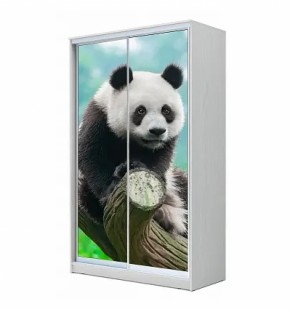 Шкаф-купе ХИТ 22-4-12-77 (420) в Можге - mozhga.ok-mebel.com | фото 5
