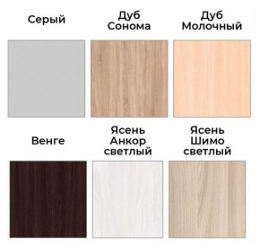 Шкаф-купе ХИТ 22-4-17-55 (420) в Можге - mozhga.ok-mebel.com | фото 3