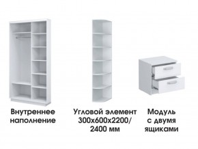 Шкаф-купе «ТАНДЕМ» 2-х дверный в белом профиле (Дверь ЛДСП+Z) 1400/h2200 в Можге - mozhga.ok-mebel.com | фото 3