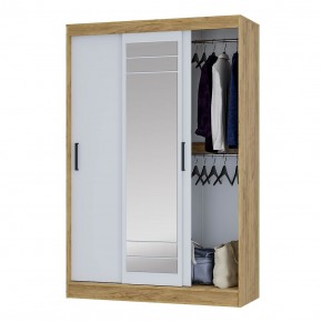 Шкаф-купе Тео ШКК-02 (крафт/белый) в Можге - mozhga.ok-mebel.com | фото 3