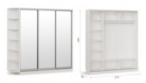 Шкаф-купе Тетрис 210/240 (ЗЗЗ) Белый жемчуг в Можге - mozhga.ok-mebel.com | фото 1