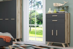 Шкаф низкий Вега Скандинавия в Можге - mozhga.ok-mebel.com | фото 8