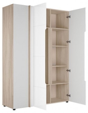 Шкаф платяной Данк в Можге - mozhga.ok-mebel.com | фото 2