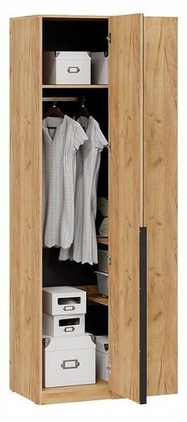 Шкаф платяной Джоли в Можге - mozhga.ok-mebel.com | фото 3