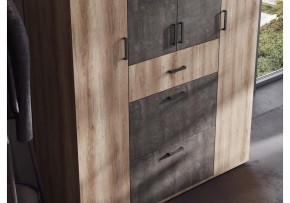 Шкаф платяной Паркинс в Можге - mozhga.ok-mebel.com | фото 3