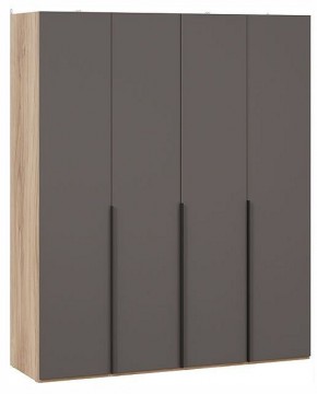 Шкаф платяной Порто СМ-393.07.110 в Можге - mozhga.ok-mebel.com | фото