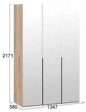 Шкаф платяной Порто СМ-393.07.111 в Можге - mozhga.ok-mebel.com | фото 3
