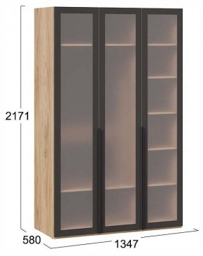 Шкаф платяной Порто СМ-393.07.117 в Можге - mozhga.ok-mebel.com | фото 4