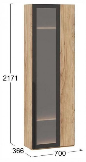 Шкаф платяной Порто СМ-393.07.233 в Можге - mozhga.ok-mebel.com | фото 3