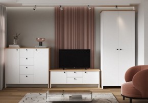 Шкаф платяной Теодора в Можге - mozhga.ok-mebel.com | фото 4