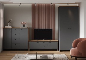 Шкаф платяной Теодора в Можге - mozhga.ok-mebel.com | фото 3