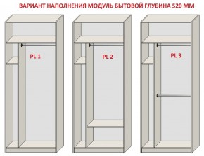 Шкаф распашной серия «ЗЕВС» (PL3/С1/PL2) Серый камень/Небраска натуральный в Можге - mozhga.ok-mebel.com | фото 5