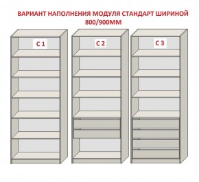 Шкаф распашной серия «ЗЕВС» (PL3/С1/PL2) Серый камень/Небраска натуральный в Можге - mozhga.ok-mebel.com | фото 6