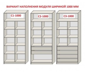 Шкаф распашной серия «ЗЕВС» (PL3/С1/PL2) Серый камень/Небраска натуральный в Можге - mozhga.ok-mebel.com | фото 7