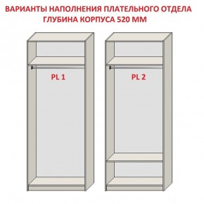 Шкаф распашной серия «ЗЕВС» (PL3/С1/PL2) Серый камень/Небраска натуральный в Можге - mozhga.ok-mebel.com | фото 9