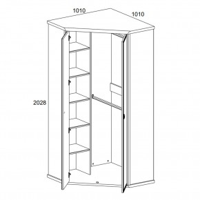 Шкаф угловой 2D, MAGELLAN, цвет Сосна винтаж в Можге - mozhga.ok-mebel.com | фото 2