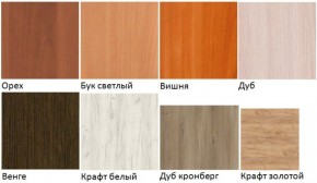 Шкаф вытяжной "Лицей" (Лц.ШКВ) в Можге - mozhga.ok-mebel.com | фото 2